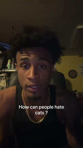 How can people hate cats ?