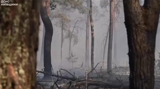 Large fire spreads across Chernobyl exclusion zone as landmines hamper firefighting efforts