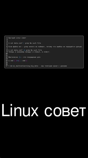 🔥 Linux совет используй |& #linux
