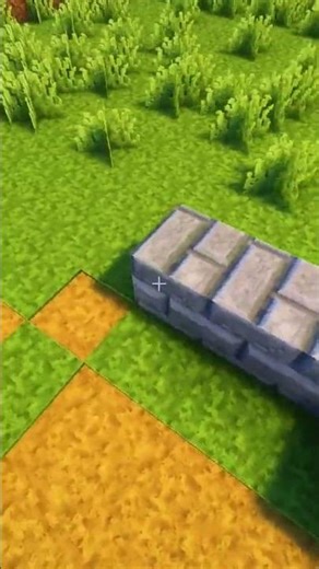 "Why Is This Chicken Acting Like That?!"