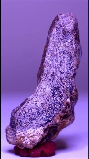 Soothing Stone Collecting #crystal #agate