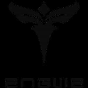 ENGWE Bici Elettriche | Comodità e Potenza per Ogni Viaggio