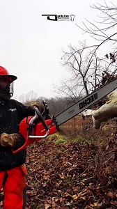 More than 2 Options - Did you Know? ECHO USA CS-620PW Ported #chainsaw #firewood #performance #2stroke #farm | Oakie Woodsman