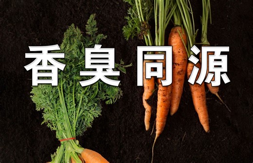 【伞形科】我们耕耘于恶臭 服侍于芬芳