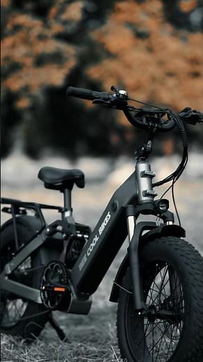 Bee Ranger | Equipped with BeeCool's Latest Rear Suspension