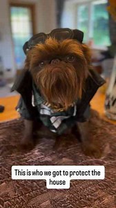 When your dog thinks you are the suspicious one