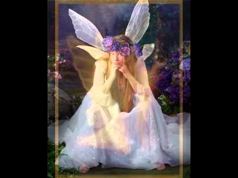 histoire d'une elfe michel pépé le grand voyage