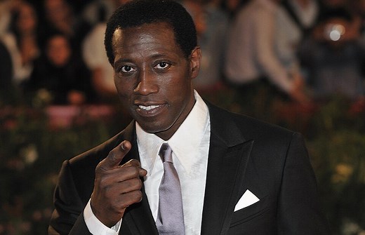 Wesley Snipes: From Hollywood Star to Prison Time