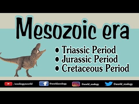 Mesozoic Era |Age of Dinosaurs| |Reptiles|