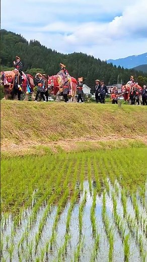 チャグチャグ馬コ 写真撮影会 2026 ミニパレード | 岩手･盛岡観光情報（Morioka･Iwate）