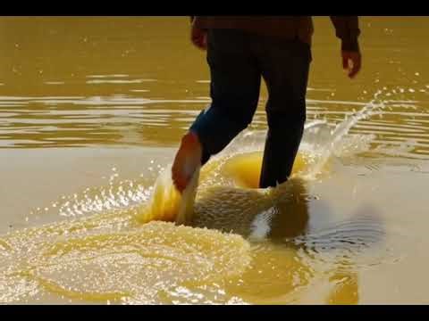 Running. The sounds of footsteps are a thrill to the ears. #asmr