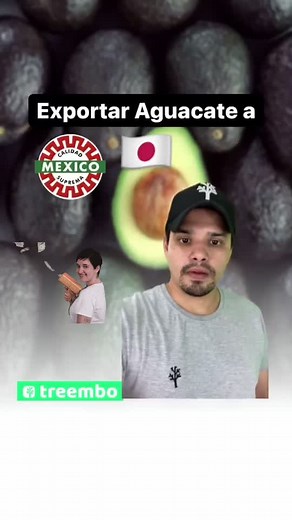 Exportar aguacate de México a Japón