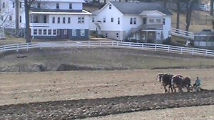 Love to watch the Amish farmers out in the fields pulling all kinds of farm implements with their work horses. It's the season for plowing. JD | AmishLeben