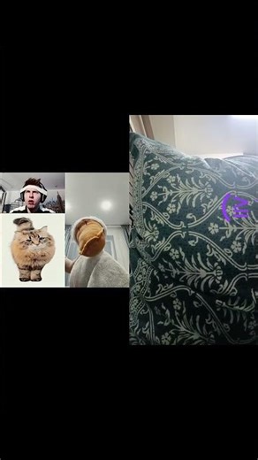 I had to use a pillow since I don't have a plushue