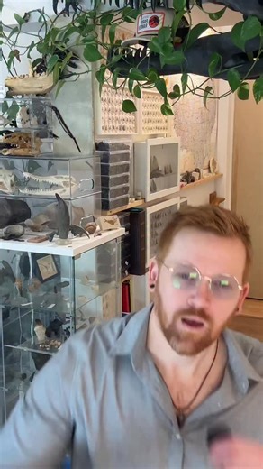 IDigDeadStuff on Instagram: "🚨ANCIENT MELANOSOMES🚨 Episode 197 brand new research into fossilized melanosomes may be giving paleontologist new insights into the skin tones of animals like dinosaurs ￼! #paleontology #sciencenews #stem #dinosaurs Daniel Falk et al. Evolutionary constraints on anuran melanin for 45 million years. iScience, published online December 17, 2025; doi: 10.1016/j.isci.2025.114220"