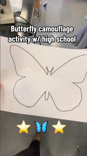 Engaging Butterfly Camouflage Activity for High School Students
