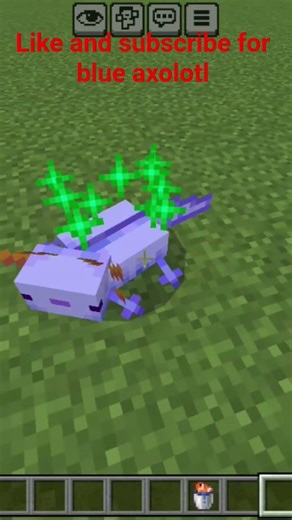how to get blue axolotl in minecraft using commands #minecraft #cute #axolotl