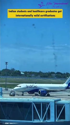 Lilac International offers a Study Abroad Program