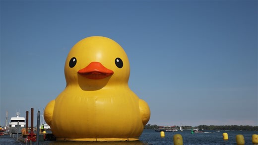 “World’s Largest Rubber Duck” returning to  theme park this summer