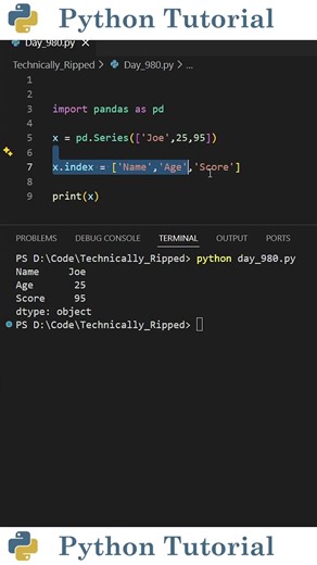 Create a Pandas Series With a Named Index | Python Tutorial