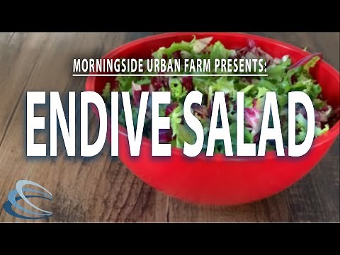 How to Make Endive Salad