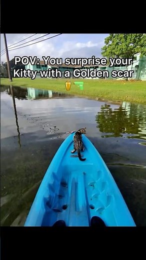 #JasonDeruloTV // He Surprised His Cat 🐱🥹 IG ​@povinme