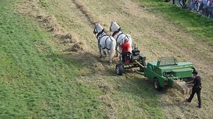 Un bellissimo video che mostra la Fienagione con Forza animale...da @ThePowerhorse09 https://www.youtube.com/watch?v=6ZdtuGW5wys #NewsAgricoltura | NewsAgricoltura