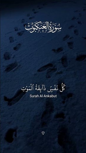كرآن بصوت الشيخ عبد الرحمان مسعد🥰