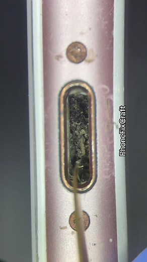 Satisfying Microscope Cleaning of Charging Ports