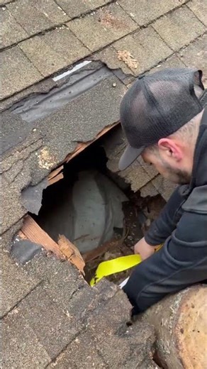 Removing Massive Tree From House Roof #diy #homeimprovement#construction #realestate