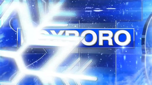 7's Kimberly Bookman is monitoring the whiteout conditions in Foxboro | 7News - WHDH Boston