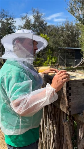 Firstly I made an error not 25 million there are 250000 Flowhive’s globally including the imitation versions. A lot of people are asking me whether they should buy a Flow Hive. So far there are approximately 250000 Flowhive’s out there. Marketing’s impressive, launched 2013. This year a lot of my clients’ flow hives have started to erode -after 5-6 years max. The Company says 20-25 year life but only give a warranty of 12 months, Flow Hive 2 costs 779, wooden Langstroth kit is 250. And with 250,