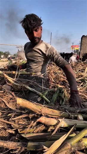 Jaggery Making Process in Indian Villages