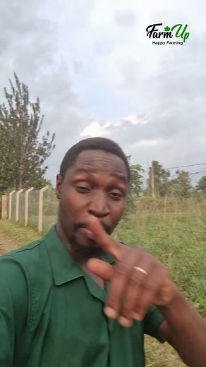 The Benefits and Joys of Animal Farming | Increase Your Farm Life Videos