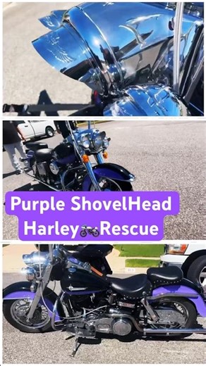 We pick up a 1979 #harleydavidson to get worked on #customharley #shovelhead #custommotorcycle