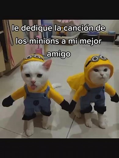 Funny Messaging Moments Captured in Screenshots