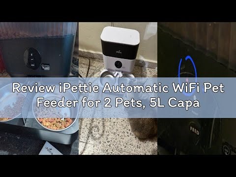 Review iPettie Automatic WiFi Pet Feeder for 2 Pets, 5L Capacity, 1-10 Meals Per Day, Adjustable Bow