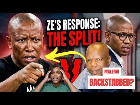 HE LIED?! The Explosive Evidence That Changes the Malema & Msibi Case FOREVER! 😱