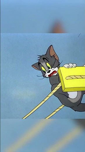 Really alley cat behaviour #TomandJerry #ClassicCartoons #Boomerang #shorts