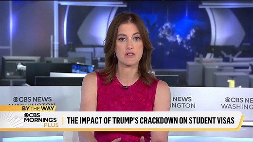 What determines who gets a student visa? Former DHS official explains the vetting process