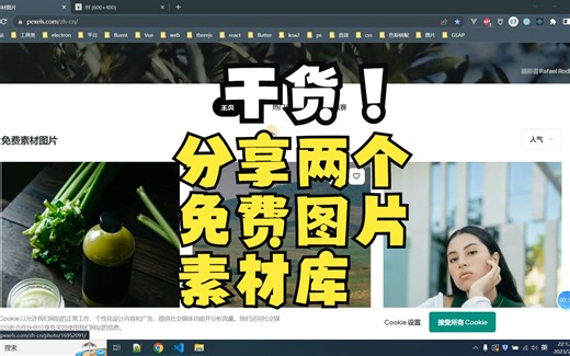 分享两个开源免费图片素材库，不再为找图片发愁了