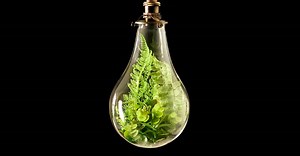 O que é bioenergia?