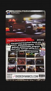 Diode Dynamics on Reels