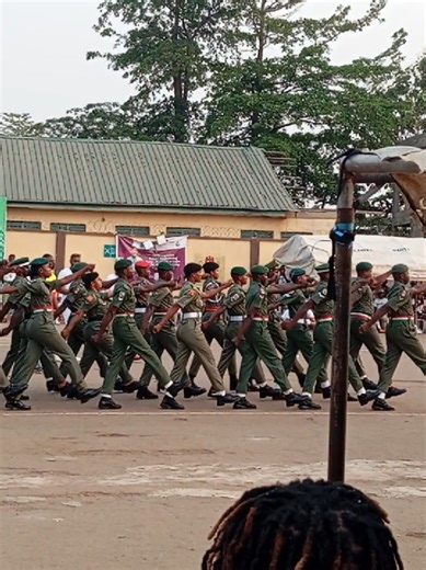 PRIMUS GRAPHICS on TikTok