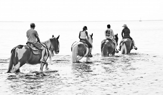 Horseback Rides in Bradenton & Tampa Bay | C Ponies