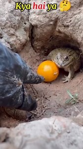 🔥 BMW Sale Alert! 🔥 Drive luxury for less – only at SureBuy Cars! 🚗 Unbeatable deals on BMWs 💸 Finance available 📍 Limited stock – act fast! 👉 DM us 8079978834 ,9658101001or visit our showroom today. #BMWSale #SureBuyCars #LuxuryForLess #DriveBMW | Surebuycars