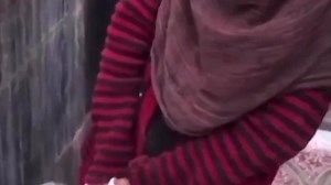 clip-185374686_456239578.mp4