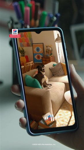 Alimenta a tu perro con Hill’s Science Diet y su exclusiva mezcla de antioxidantes clínicamente probada. LA CIENCIA LO HACE POR TI. | Hill's Pet Costa Rica