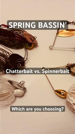 Springtime Bass Fishing: Are you picking up a Chatterbait or Spinnerbait? #bassfishing #zmanfishing