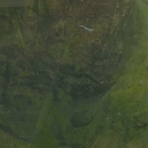 While you were working, the Eyecon crew took a little break from the office for a wild adventure! Big thanks to Pine Grove Zoo for an adventure-filled day. | Eyecon Graphics